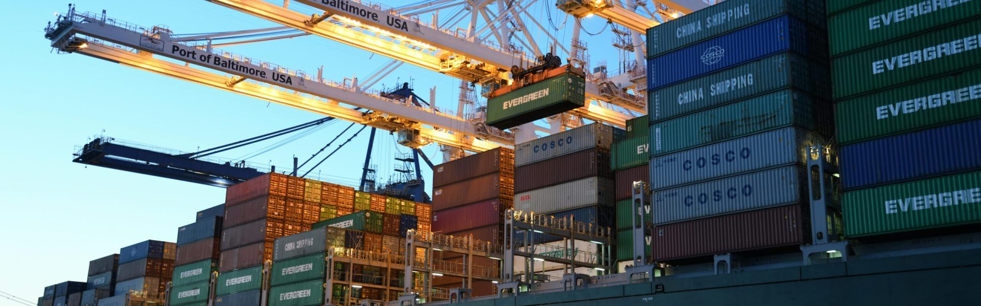 pexels dibert 1117210